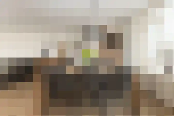 Heselaan 90 Nijmegen thumbnail 15
