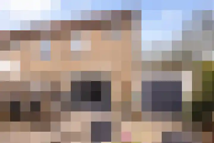 Heselaan 90 Nijmegen thumbnail 16