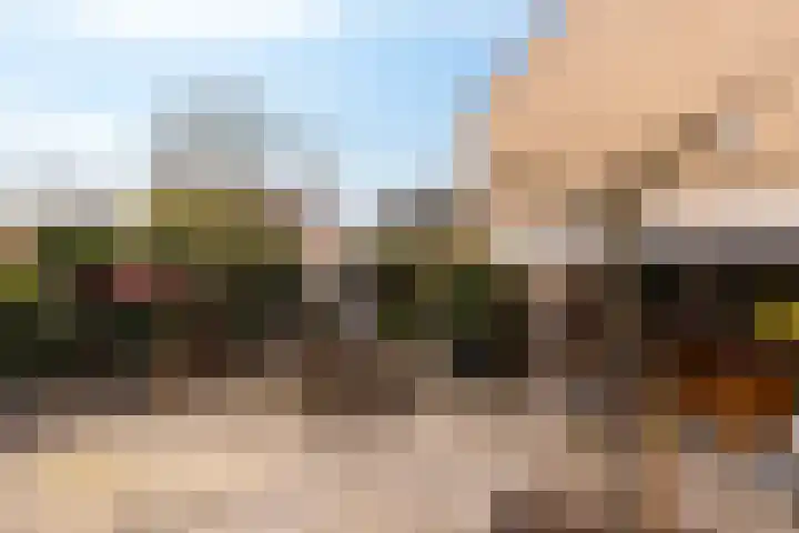 Heselaan 90 Nijmegen thumbnail 19