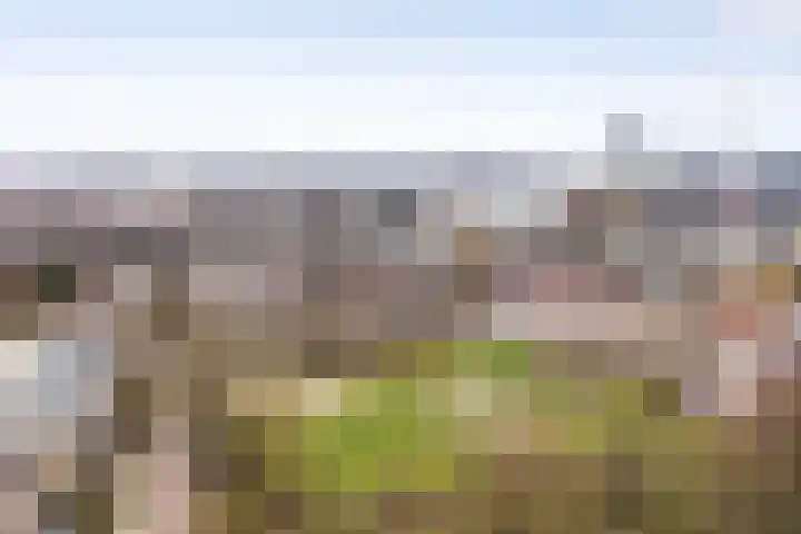 Heselaan 90 Nijmegen thumbnail 28