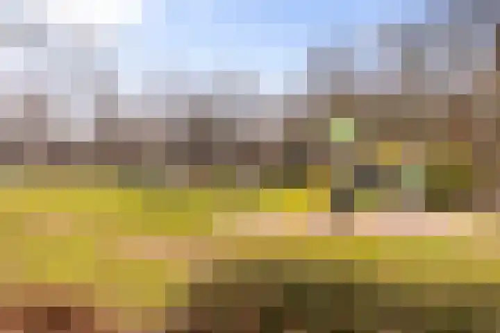 Heselaan 90 Nijmegen thumbnail 29