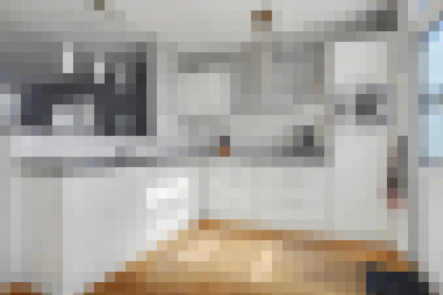 Heslingahuis 1 Almelo thumbnail 13
