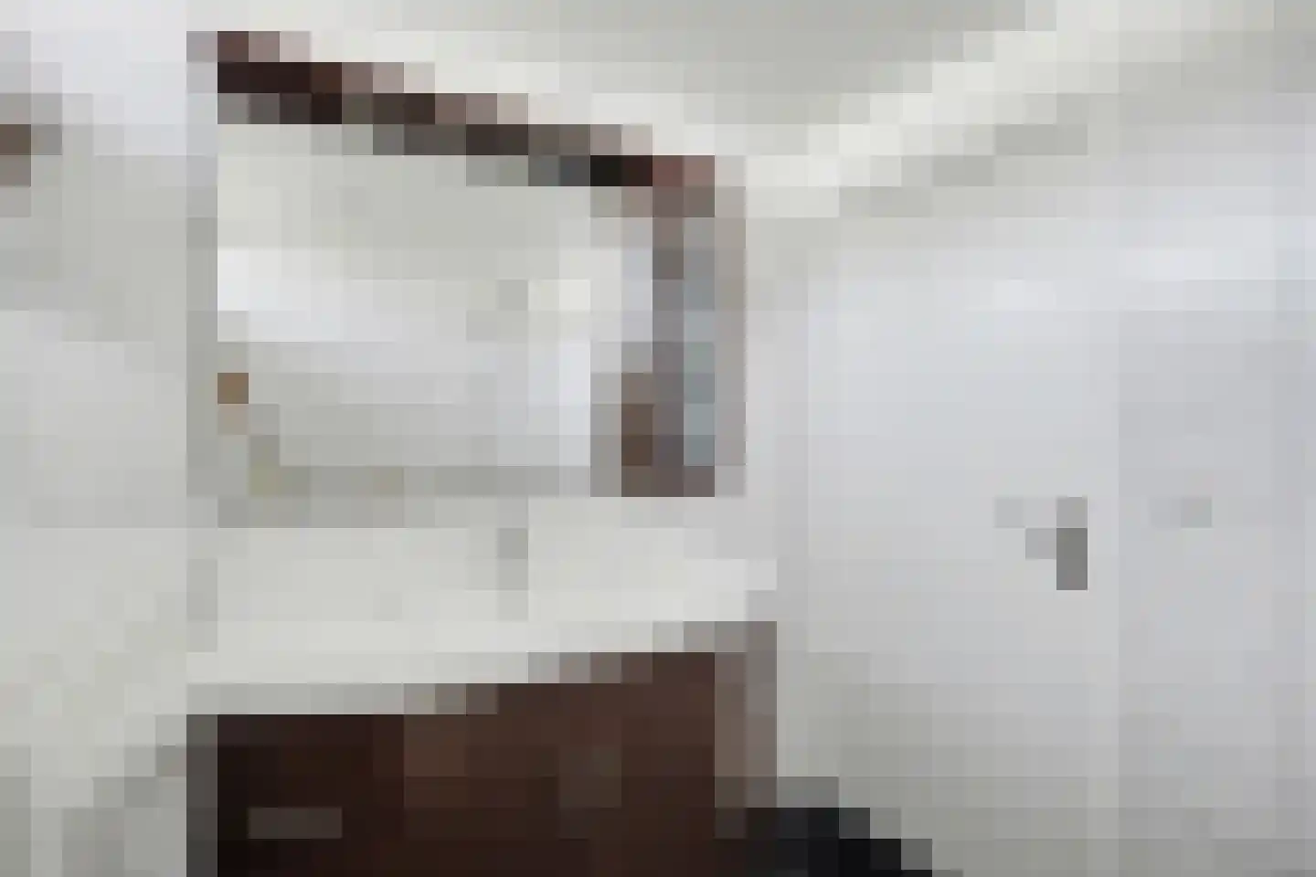 Heslingahuis 1 Almelo thumbnail 23