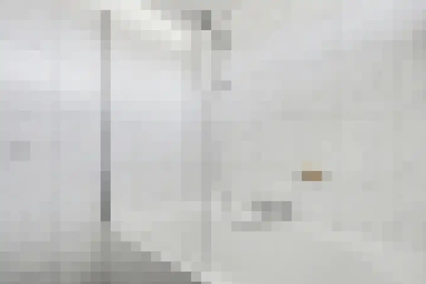 Heslingahuis 1 Almelo thumbnail 24