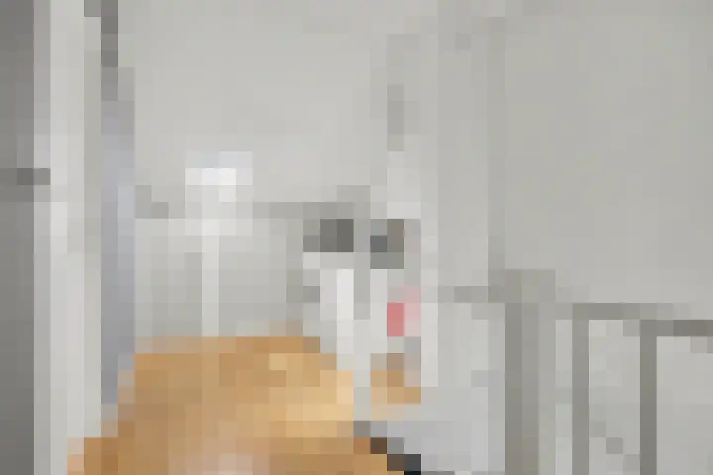 Heslingahuis 1 Almelo thumbnail 25