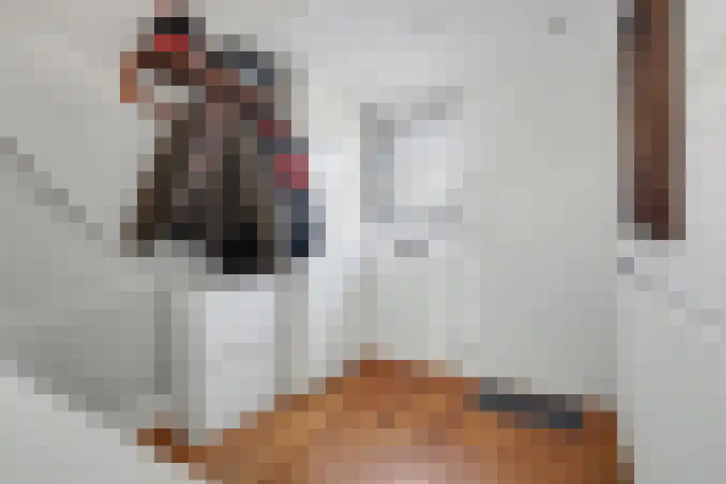 Heslingahuis 1 Almelo thumbnail 6