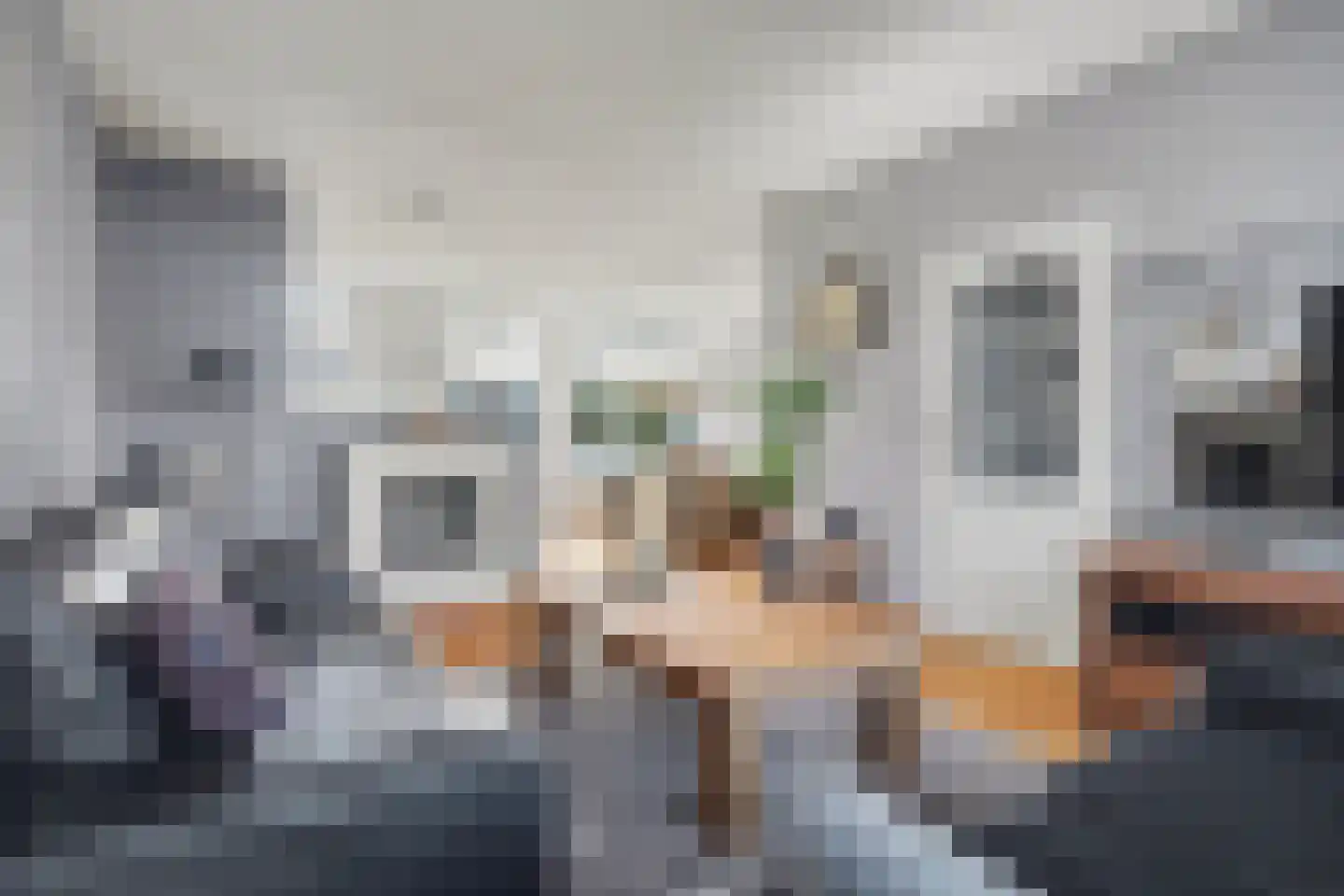 Heslingahuis 1 Almelo thumbnail 9