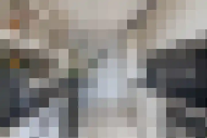 Heslingahuis 17 Almelo thumbnail 12