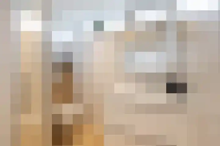 Heslingahuis 17 Almelo thumbnail 15