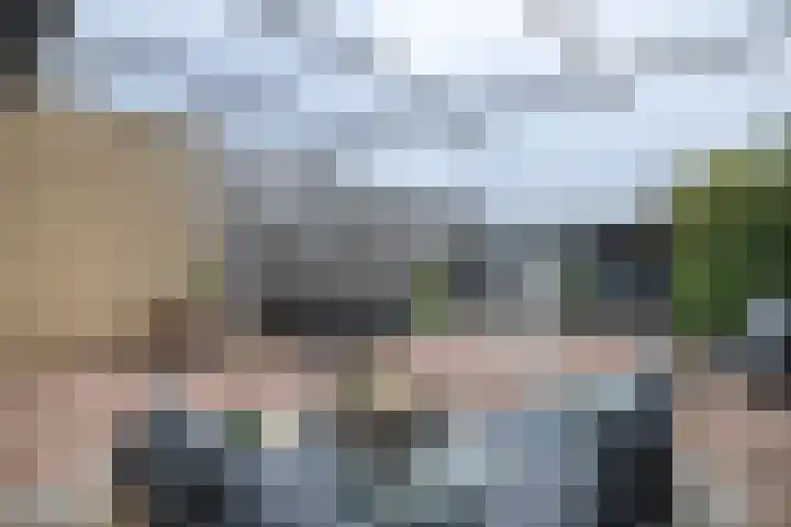 Heslingahuis 17 Almelo thumbnail 25