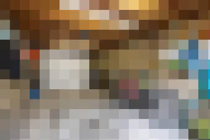 Heslingahuis 17 Almelo thumbnail 28
