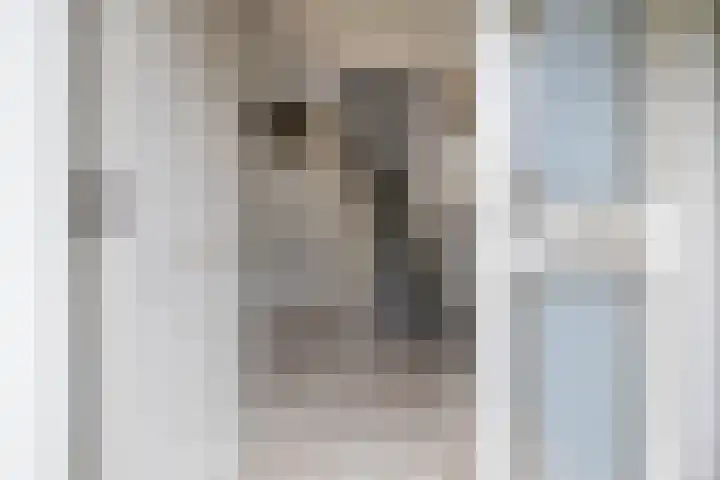 Heslingahuis 17 Almelo thumbnail 5