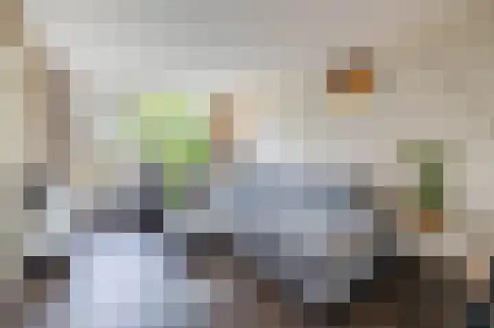 Heslingahuis 17 Almelo thumbnail 6