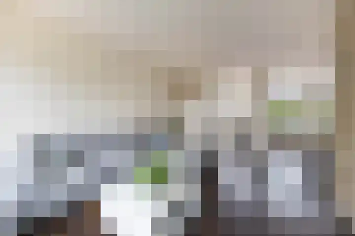 Heslingahuis 17 Almelo thumbnail 7