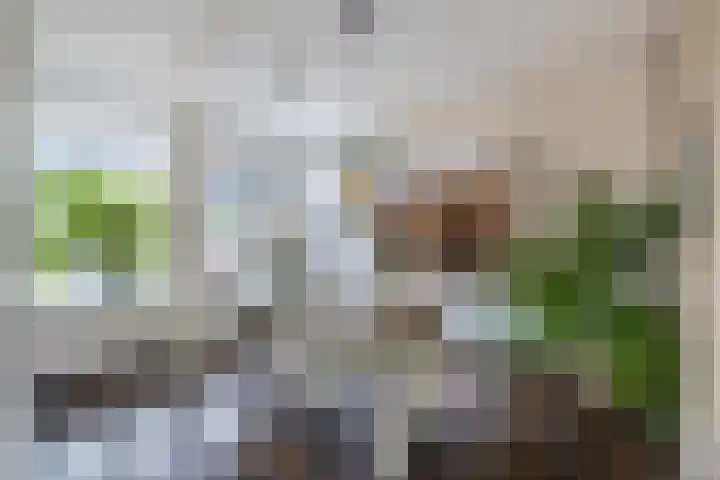 Heslingahuis 17 Almelo thumbnail 8
