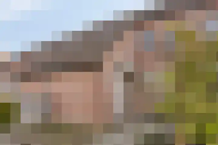 Heslingastins 23 in Leeuwarden