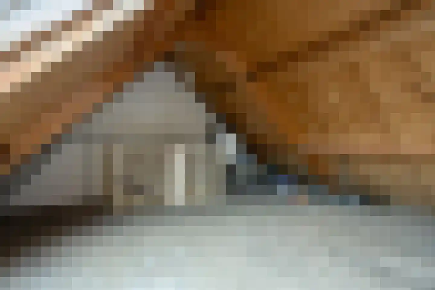 Heslingastins 45 Leeuwarden thumbnail 25
