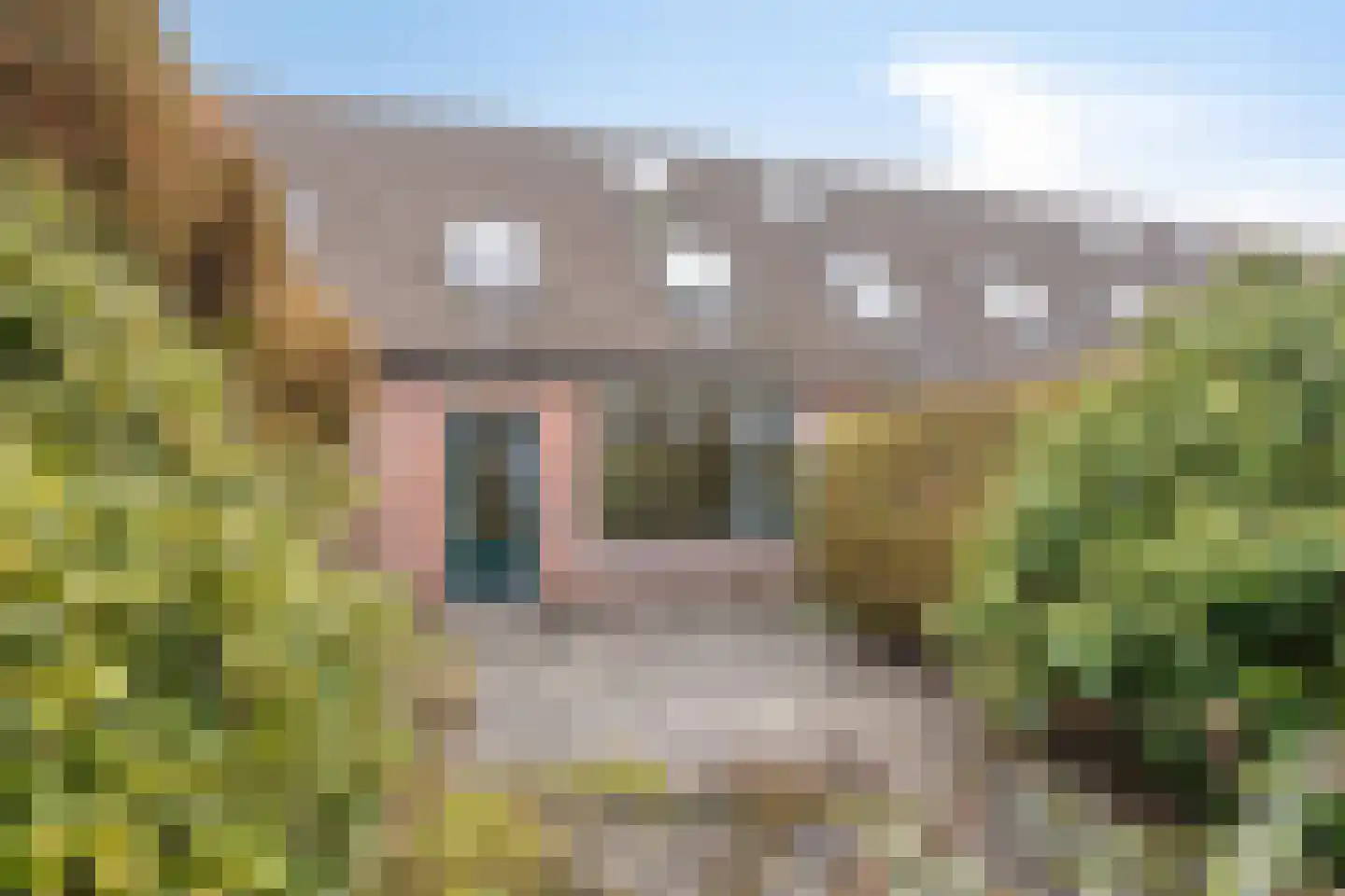 Heslingastins 45 Leeuwarden thumbnail 29