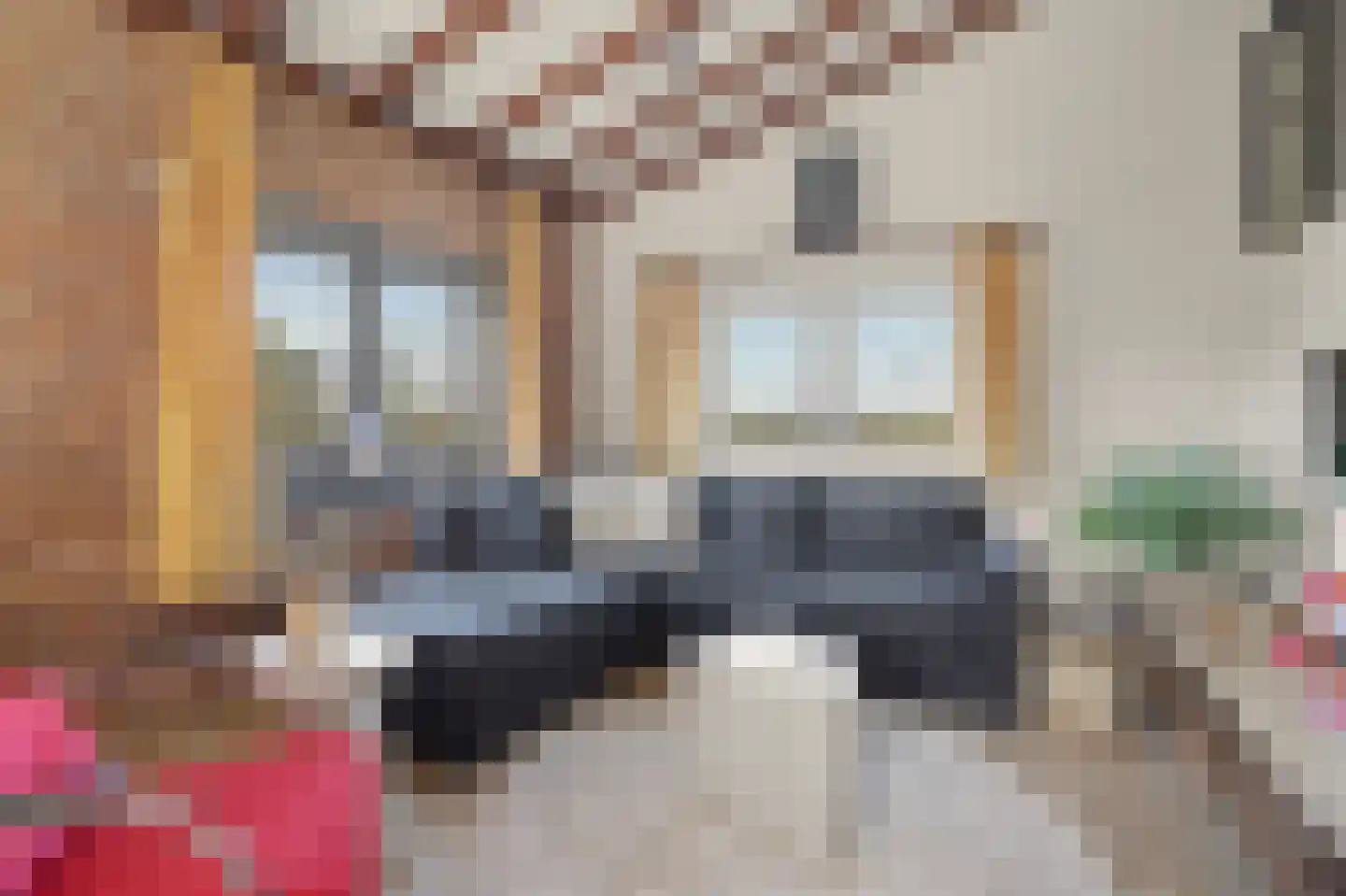 Hespelaar 15 Den Hout thumbnail 12