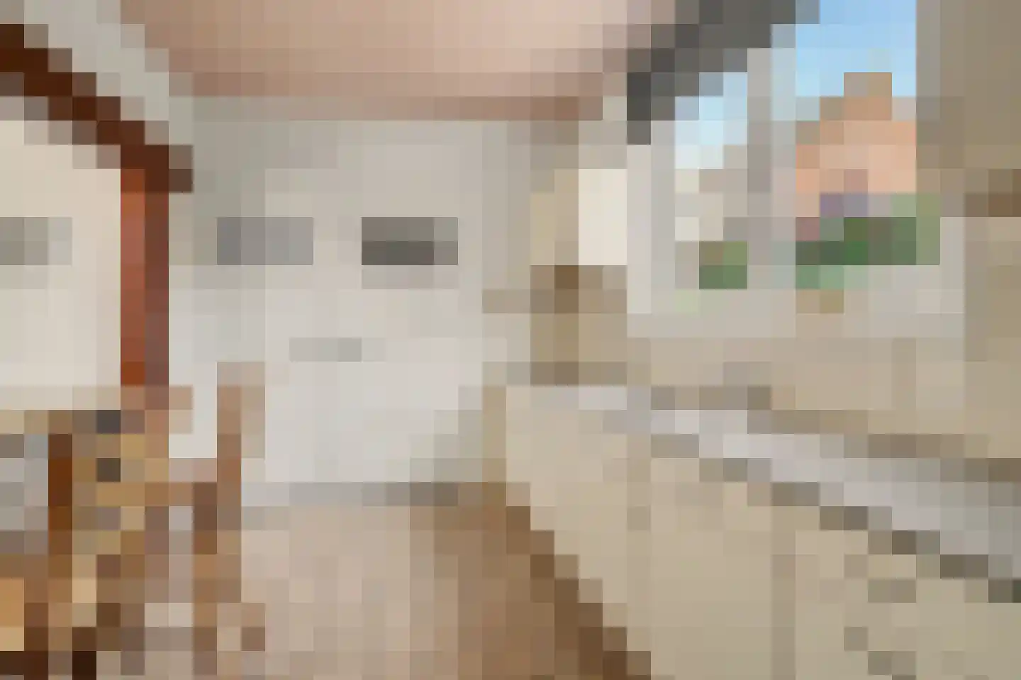 Hespelaar 15 Den Hout thumbnail 15