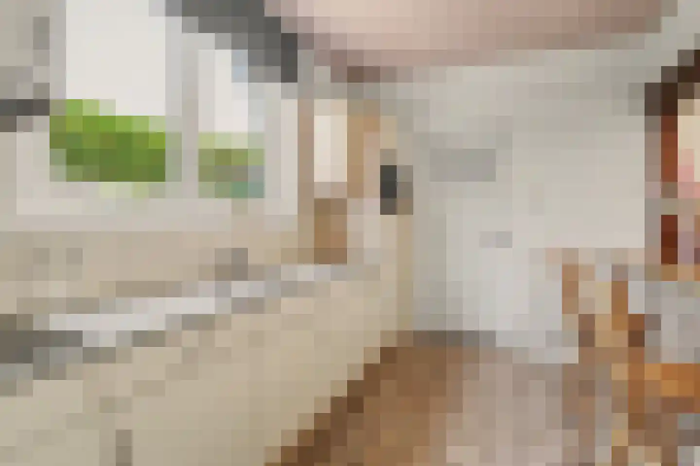 Hespelaar 15 Den Hout thumbnail 16