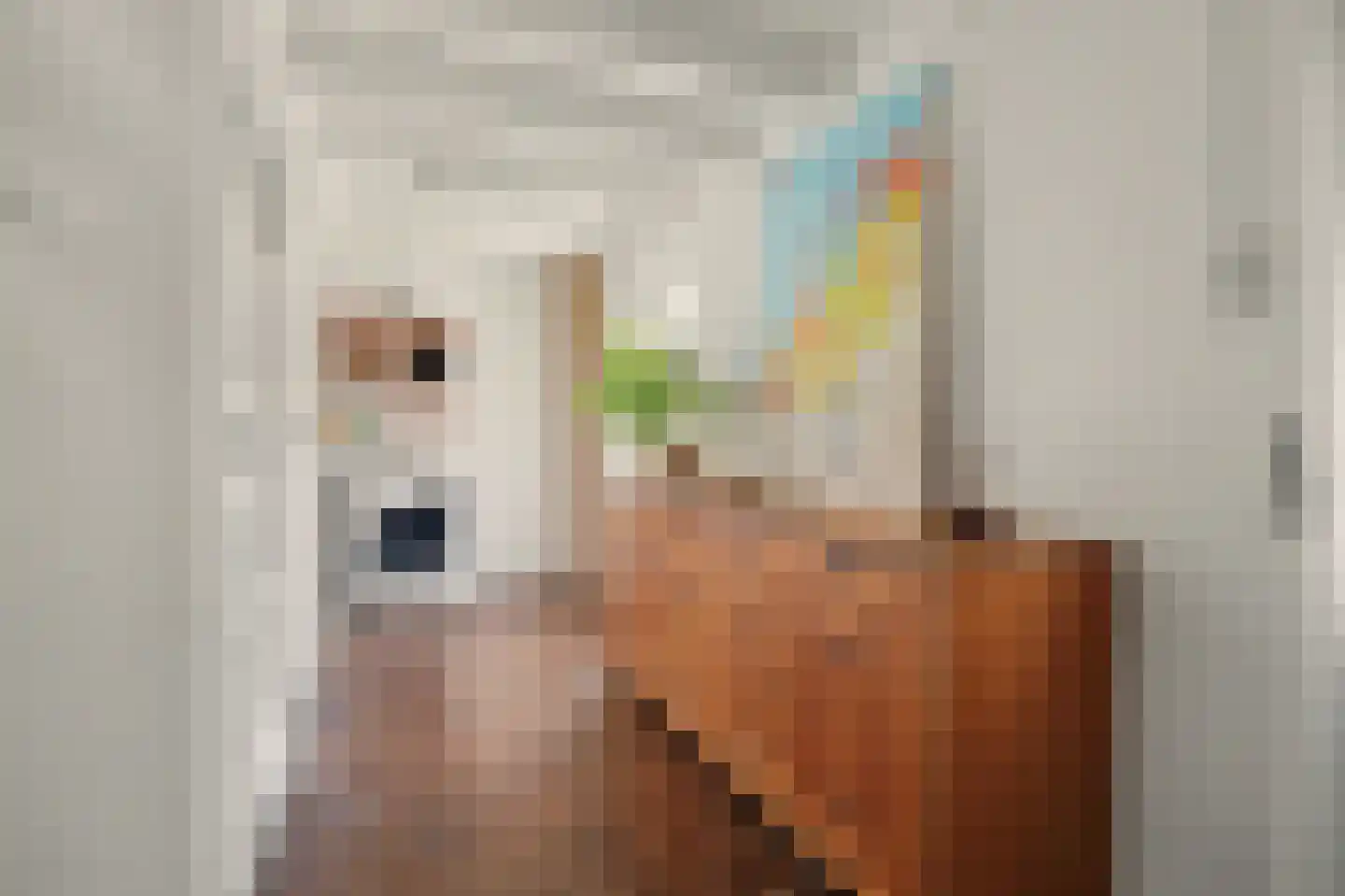 Hespelaar 15 Den Hout thumbnail 18