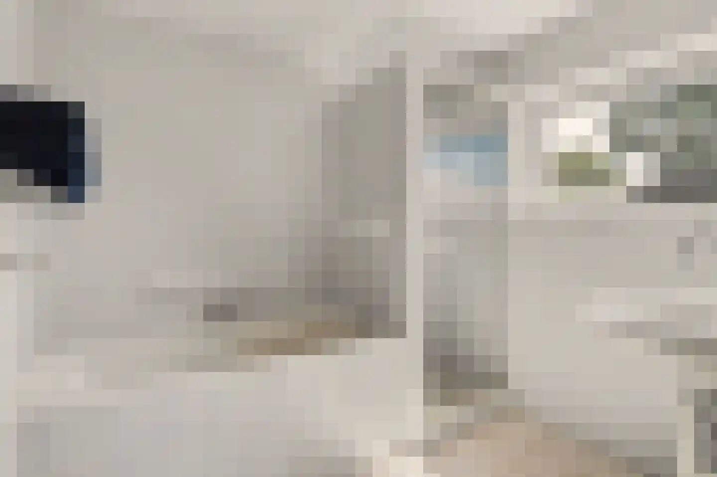 Hespelaar 15 Den Hout thumbnail 28