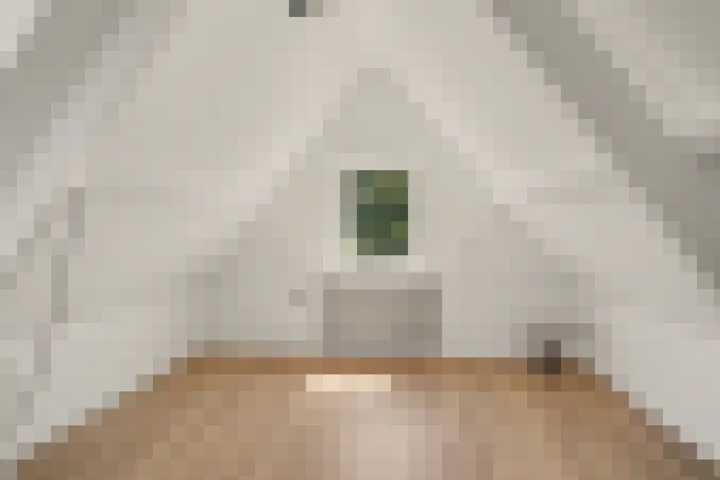Hespelaar 15 Den Hout thumbnail 29