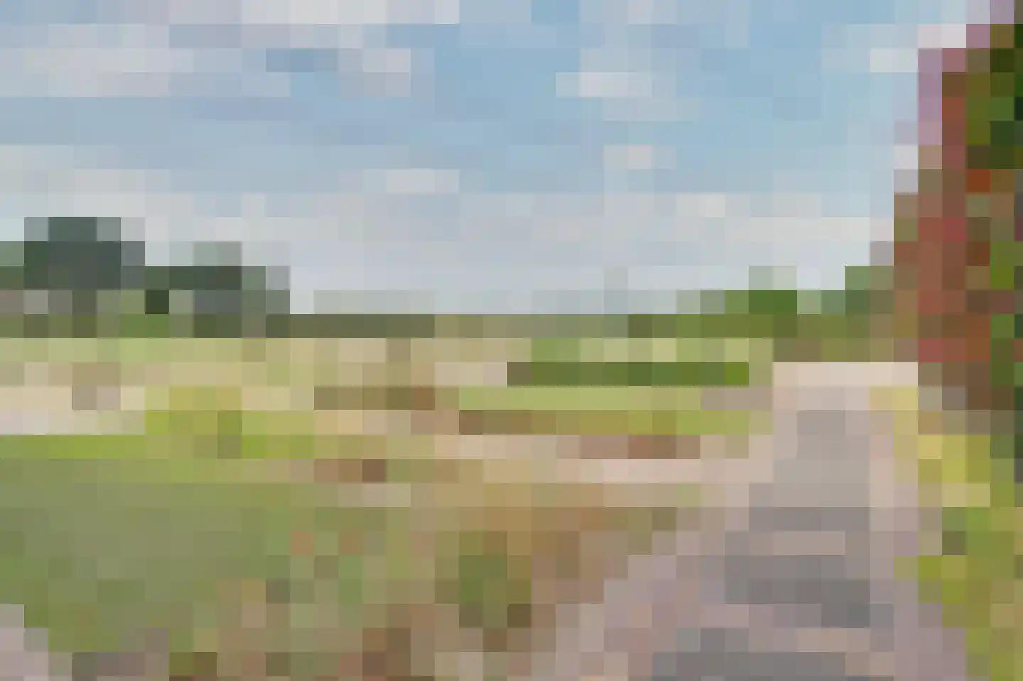 Hespelaar 15 Den Hout thumbnail 31