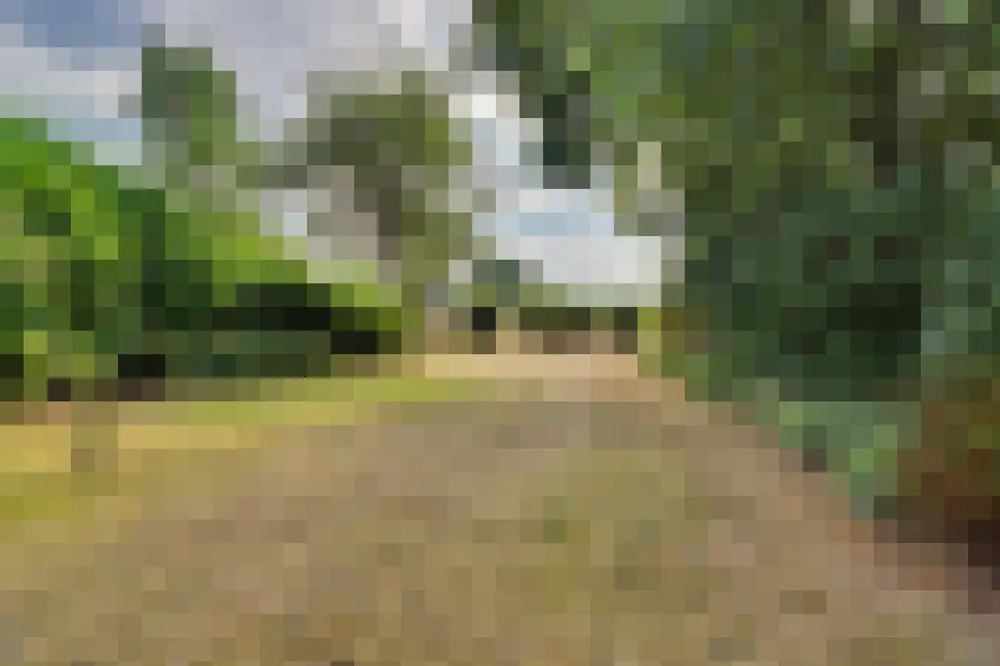 Hespelaar 15 Den Hout thumbnail 34