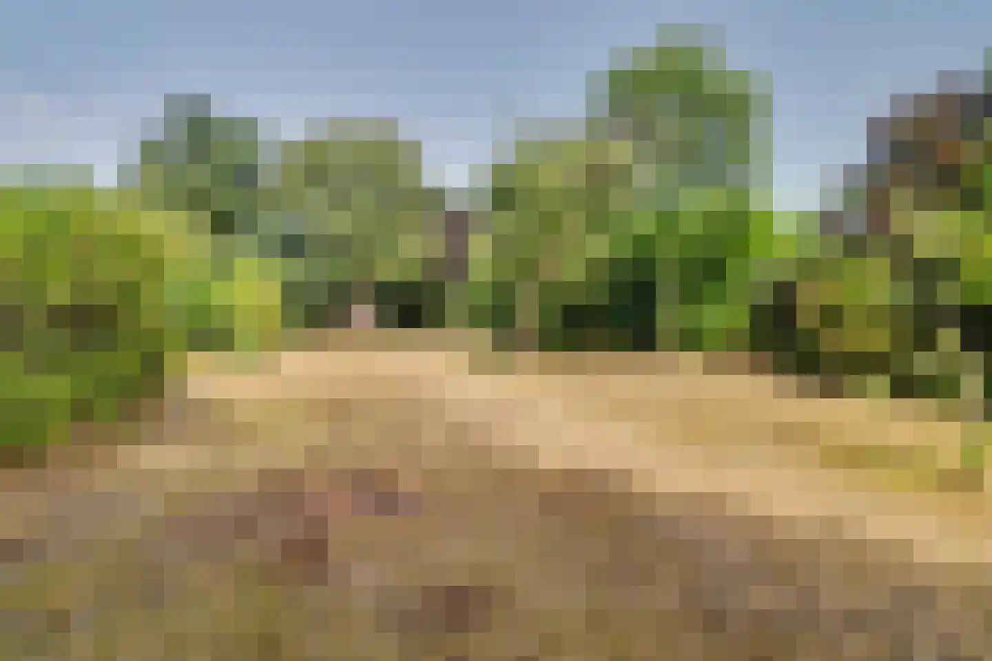 Hespelaar 15 Den Hout thumbnail 35