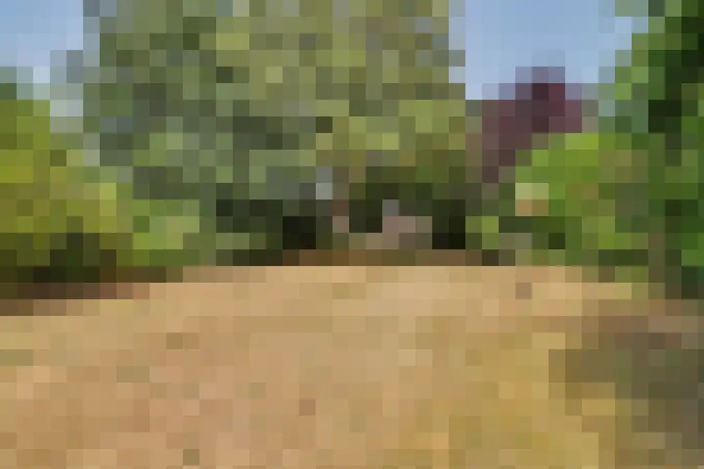 Hespelaar 15 Den Hout thumbnail 36