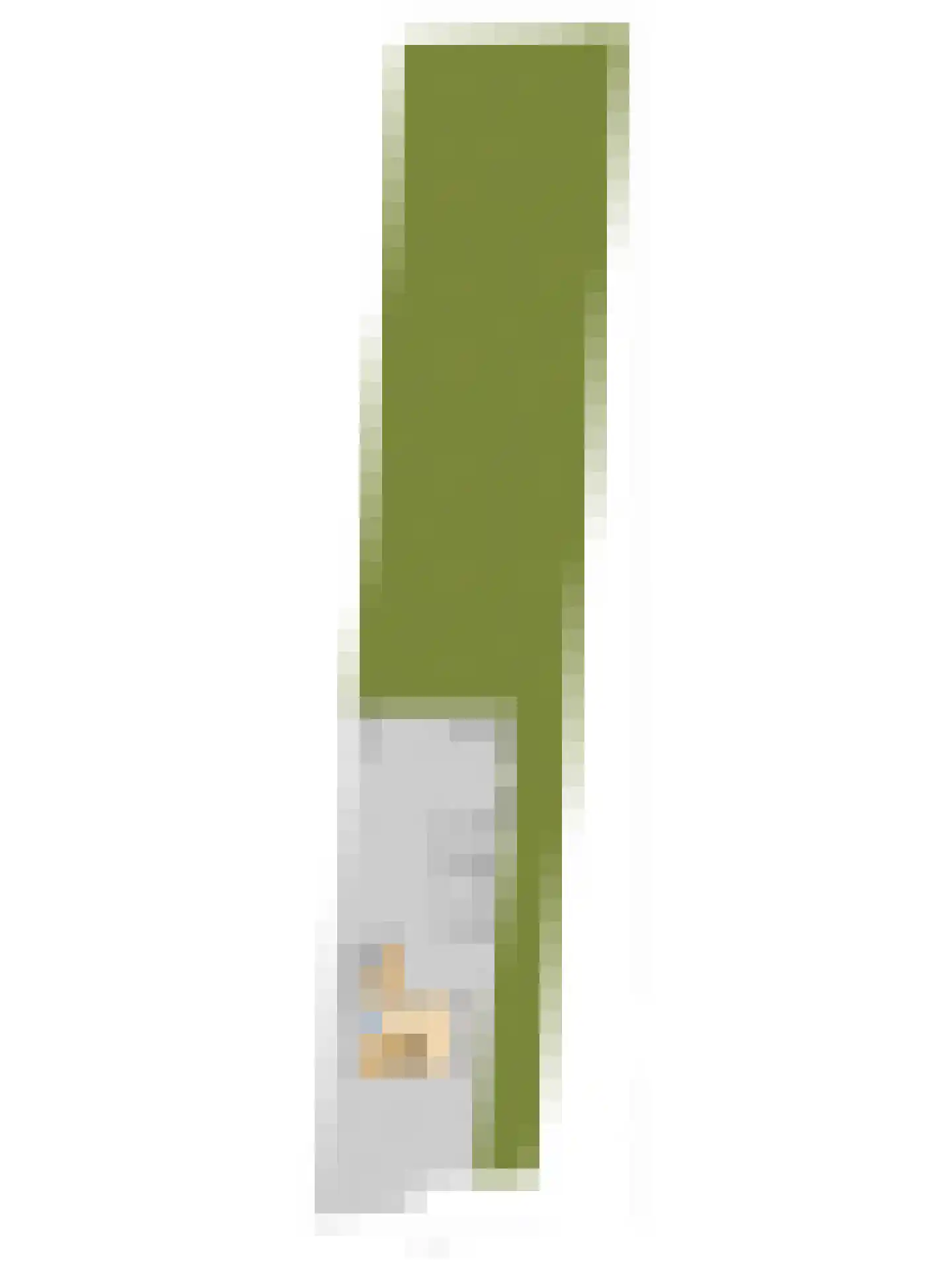 Hespelaar 15 Den Hout thumbnail 39