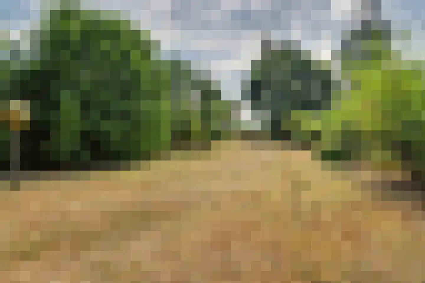 Hespelaar 15 Den Hout thumbnail 6