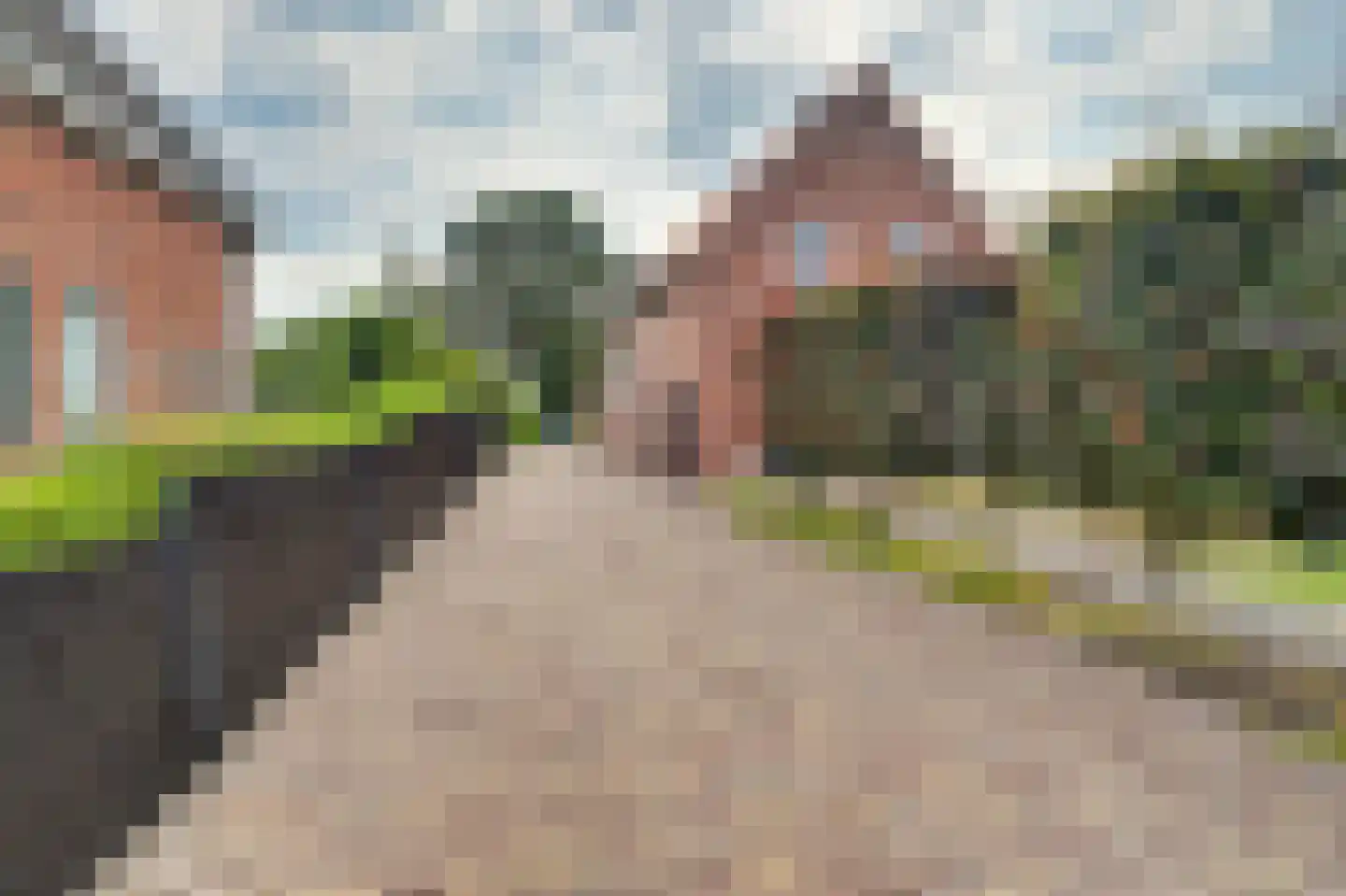 Hespelaar 15 Den Hout thumbnail 8