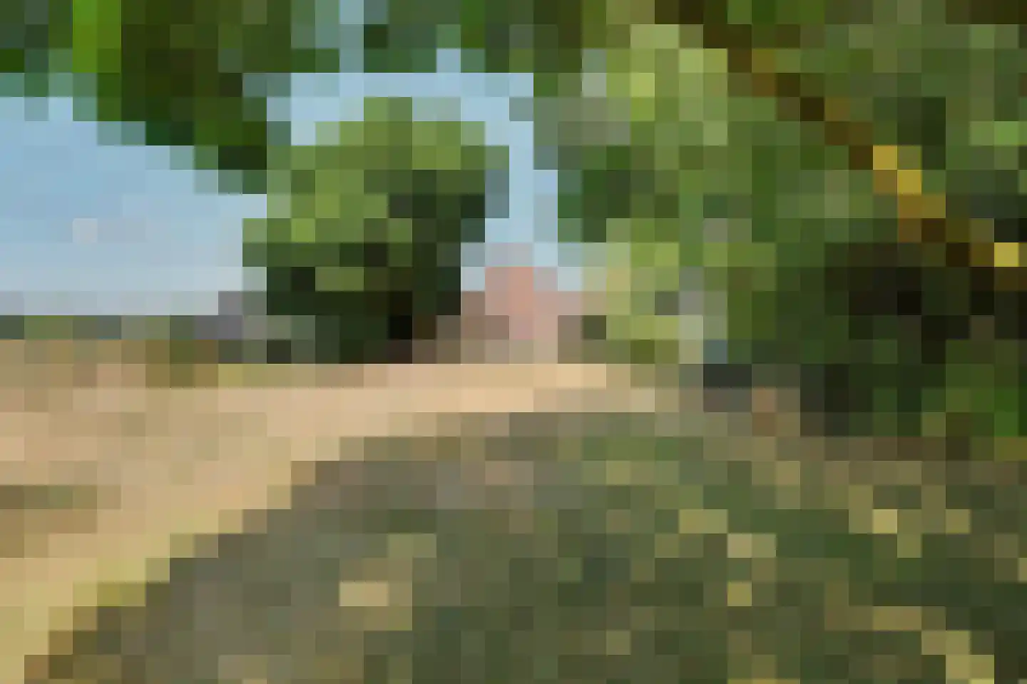 Hespelaar 15 Den Hout thumbnail 9