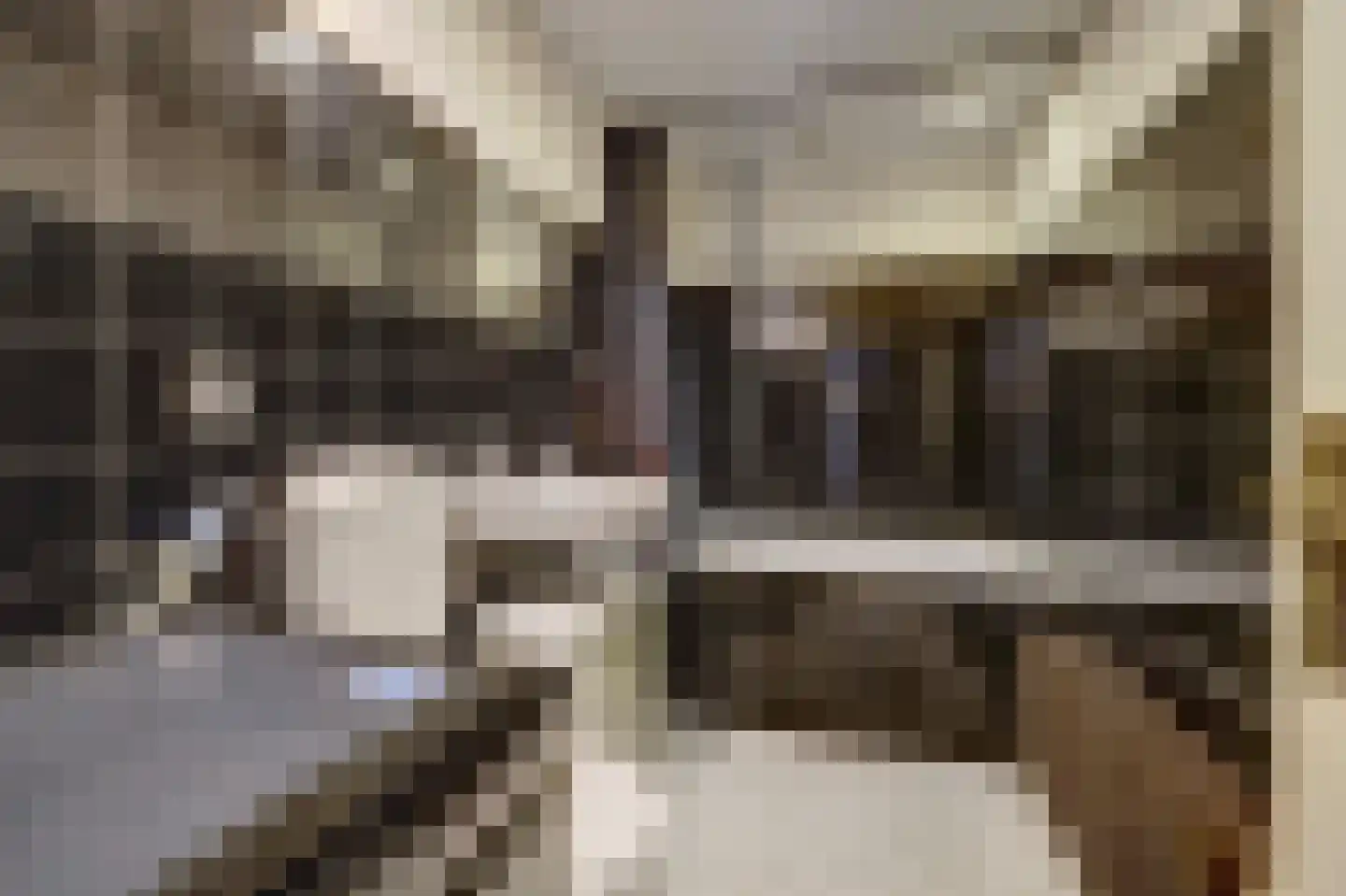 Hesperenstraat 50 Tilburg thumbnail 18