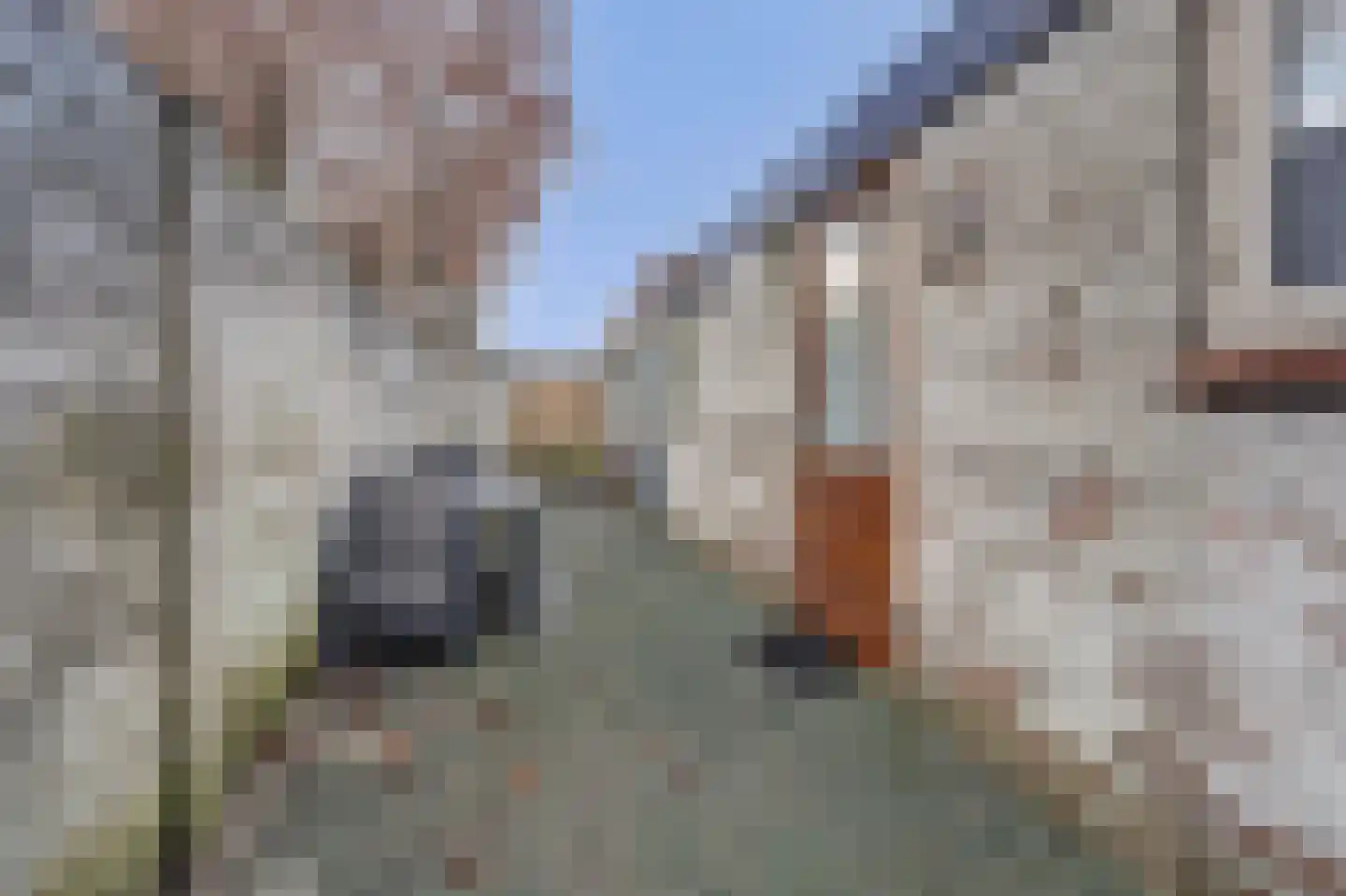 Hesperenstraat 50 Tilburg thumbnail 25
