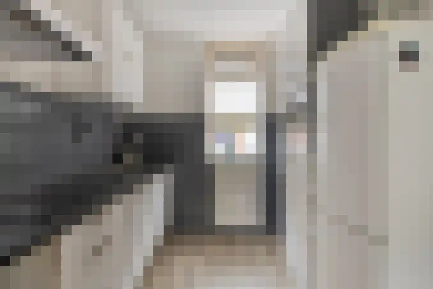 Hesperenstraat 61 Tilburg thumbnail 18