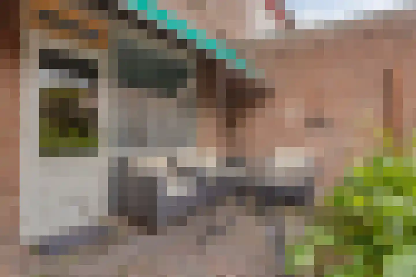 Hesperenstraat 61 Tilburg thumbnail 31