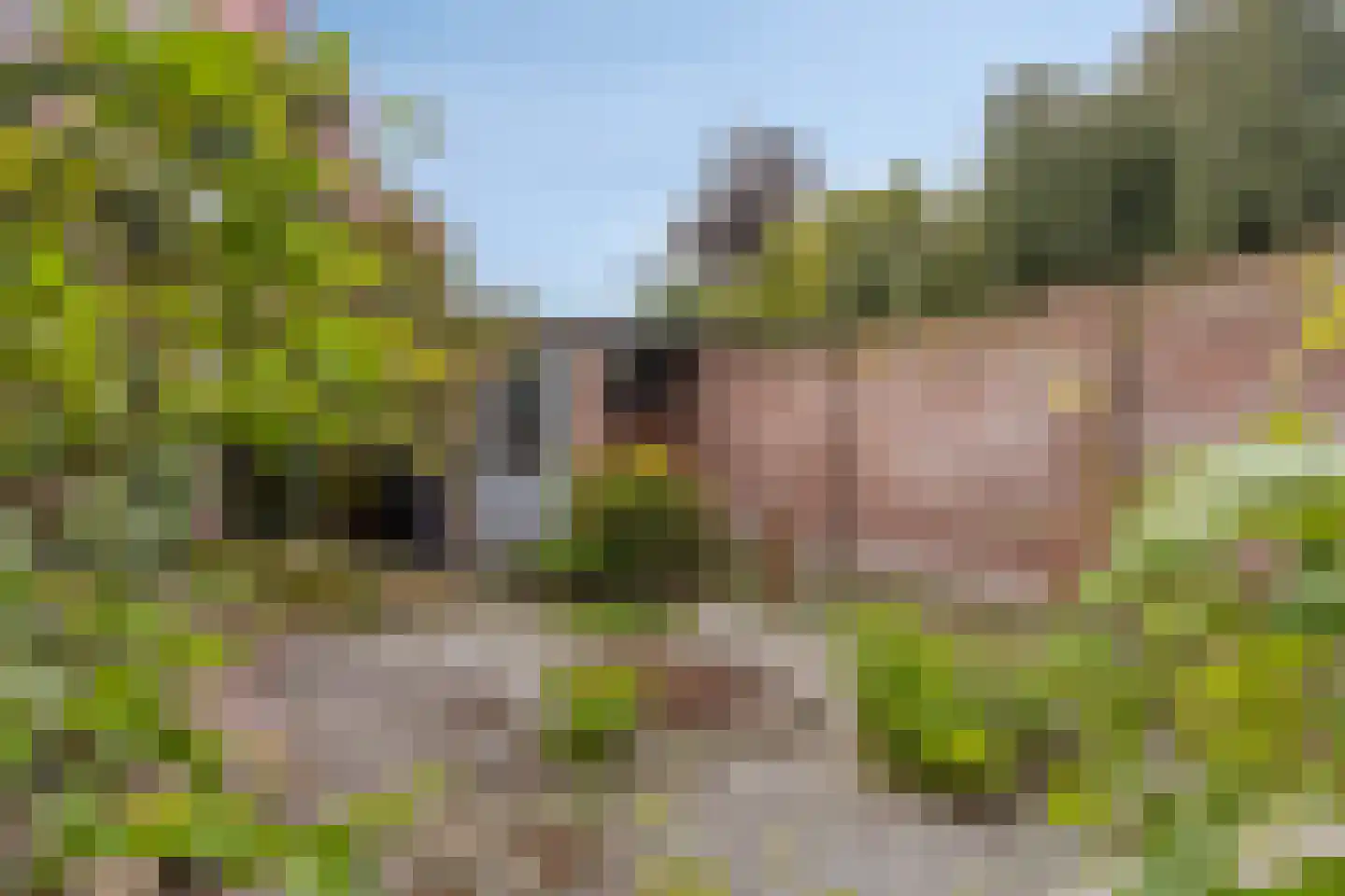 Hesperenstraat 61 Tilburg thumbnail 34