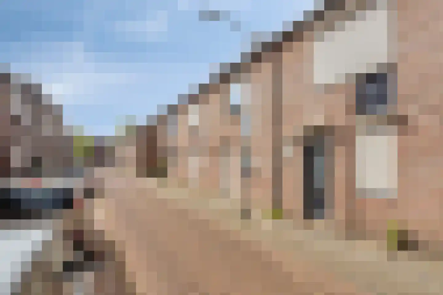 Hesperenstraat 61 Tilburg thumbnail 38