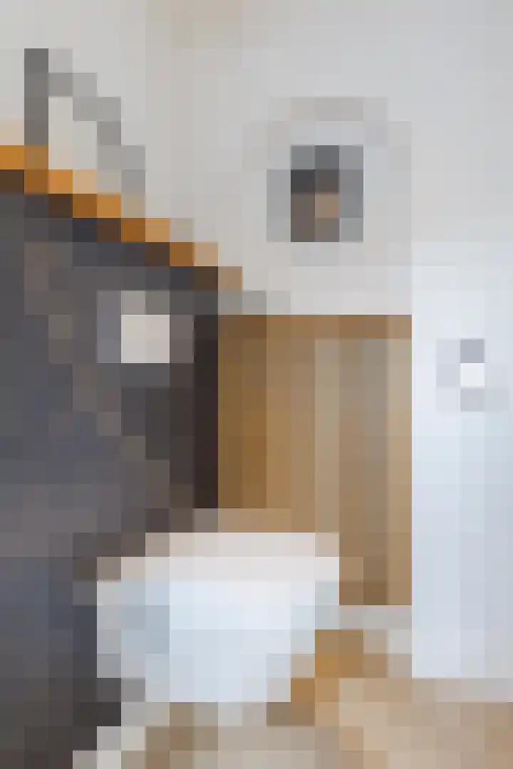 Hesperenstraat 81 Tilburg thumbnail 14
