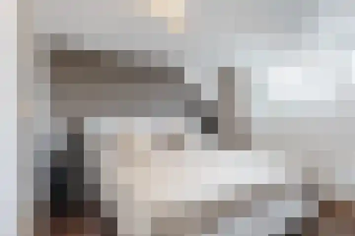Hesperenstraat 81 Tilburg thumbnail 21