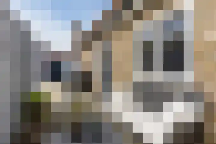 Hesperenstraat 81 Tilburg thumbnail 26