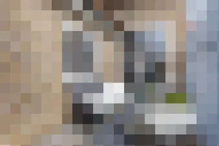 Hesperenstraat 81 Tilburg thumbnail 5