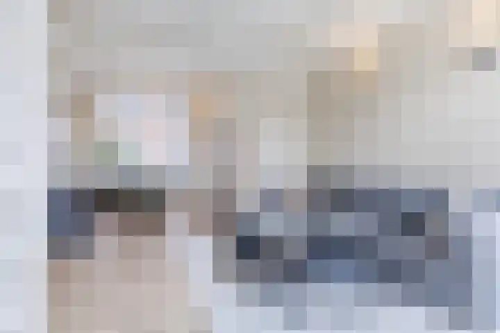 Hesperenstraat 81 Tilburg thumbnail 9