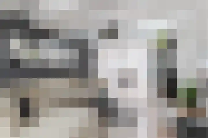 Hesperenzijstraat 7 Tilburg thumbnail 10