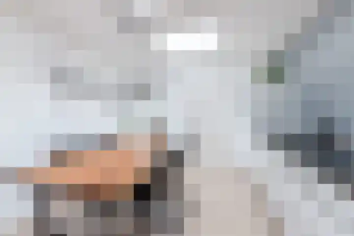 Hesperenzijstraat 7 Tilburg thumbnail 11