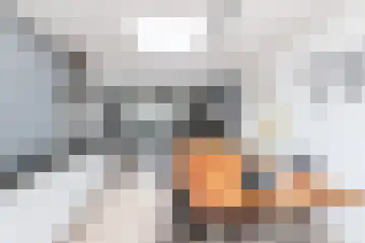 Hesperenzijstraat 7 Tilburg thumbnail 12